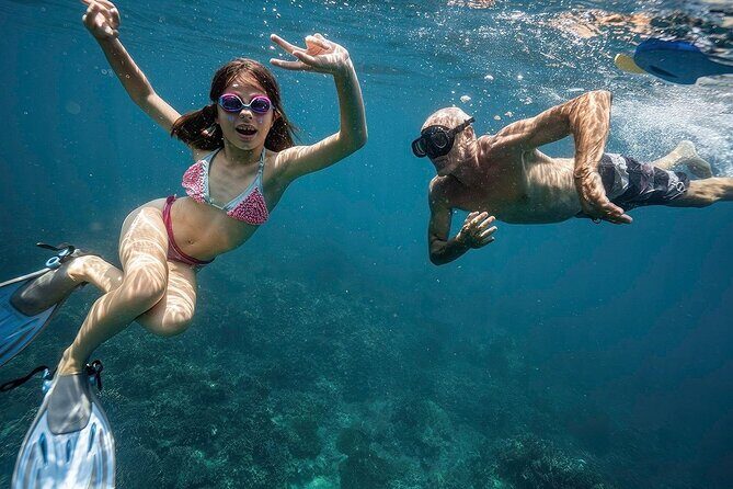 Full-Day Cham Islands Tour with Snorkeling & Beach Relaxation - An Introduction to the Cham Islands Tour