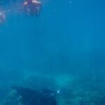 Full Day Combo Snorkeling with Buffet and Bora Bora ATV Tour - Detailed Breakdown of the Tour Experience