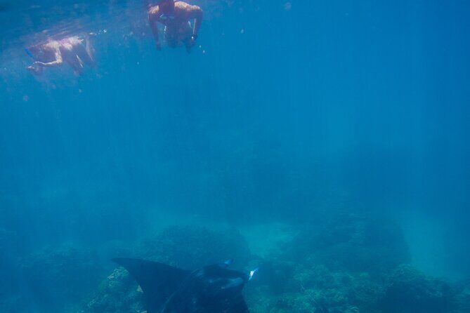 Full Day Combo Snorkeling with Buffet and Bora Bora ATV Tour - Detailed Breakdown of the Tour Experience