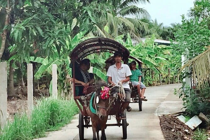 Full day Cu Chi Tunnels and Mekong Delta - The Scenic Journey to the Mekong Delta