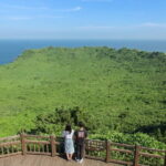 Full-day Customizable Private Jeju Island Tour - Practical Details and What to Expect