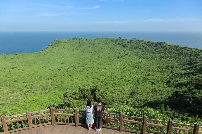Full-day Customizable Private Jeju Island Tour - Practical Details and Tips