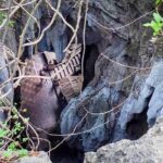 Full Day From Siem Reap - Bamboo Train, Killing Cave & Sunset (Free Pick up) - Practical Details and What You Should Know