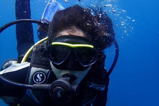 Full Day Fun Diving at Tulamben All inclusive - The Experience for Different Travelers