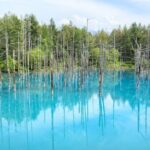 Full-Day Furano Lavender Farm and Blue Pond from Sapporo - The Itinerary in Detail