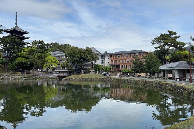 Full Day Guided Tour to Nara from Osaka by Van - Why This Tour Offers Great Value