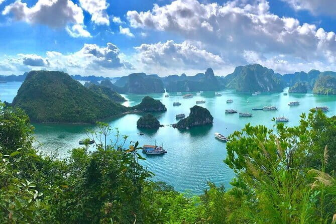 Full Day Halong Bay Cruise from Hanoi  Best Selling Tour - Who Will Benefit Most from This Tour?
