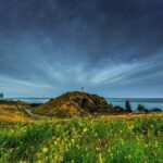 Full-Day Jeju Island UNESCO Tour for Cruise Layover Guests - A Detailed Look at the Tour