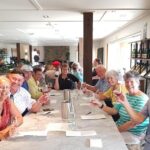 Full-Day Marlborough Catamaran Cruise with Wine Tour and Lunch - Who Will Love This Tour?