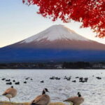 Full day Mount Fuji: Tour with an English speaking Guide - What’s Included & What’s Not