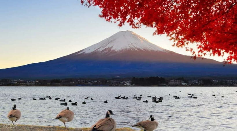 Full day Mount Fuji: Tour with an English speaking Guide - What’s Included & What’s Not
