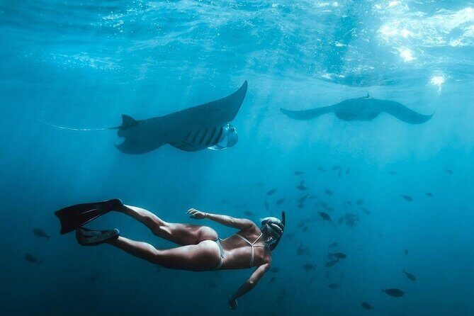 Full Day Nusa Penida Manta Point Snorkeling and West Island Tour - Detailed Review of the Tour Experience