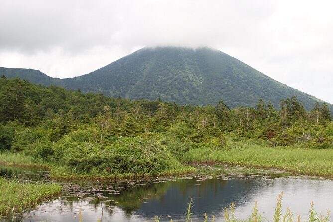 Full day Oirase Stream and Lake Towada Tour - Who Would Love This Tour?