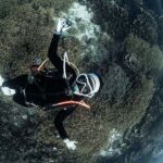 Full-Day Open Trip Diving in Komodo for Certified Divers - Practical Details and Value