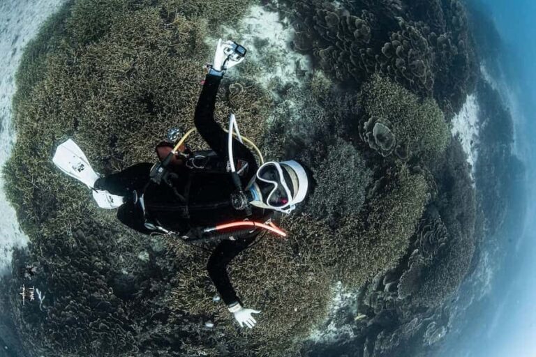 Full-Day Open Trip Diving in Komodo for Certified Divers - Practical Details and Value