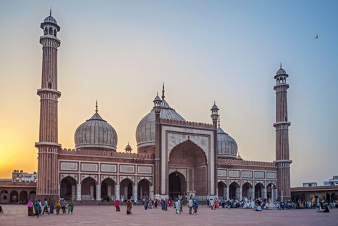 Full Day Private Delhi Sightseeing Tour with Local Guide - Transportation and Comfort