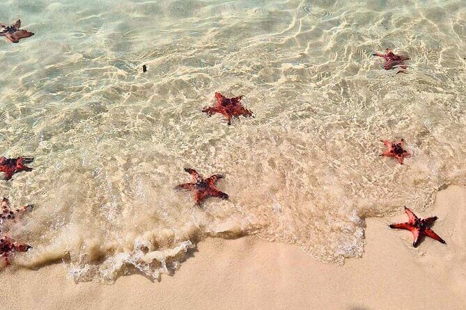 Full Day Private Journey to Northern Phu Quoc - Exploring the Full Day Private Journey to Northern Phu Quoc