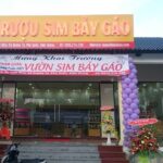 Full Day Private Land Tour South Phu Quoc Island - The Sum Up
