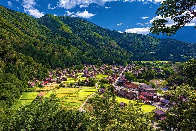 Full Day Private Tour in Takayama Old Township and Shirakawago - Who Would Love This Tour?