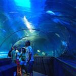 Full Day Private Tour of Nha Trang City from the Cruise Port - What Does This Tour Offer for Your Money?