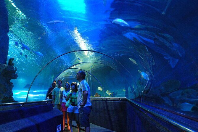 Full Day Private Tour of Nha Trang City from the Cruise Port - What Does This Tour Offer for Your Money?