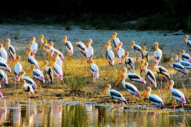 Full-Day Private Tour of Sigiriya and Minneriya National Park - The Sum Up