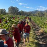 Full Day Private Wine Tour Exclusively Tailored To Suit You - Transportation and Comfort