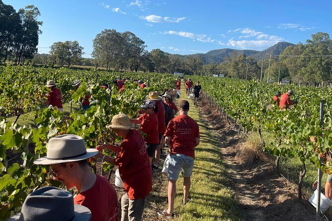 Full Day Private Wine Tour Exclusively Tailored To Suit You - Transportation and Comfort