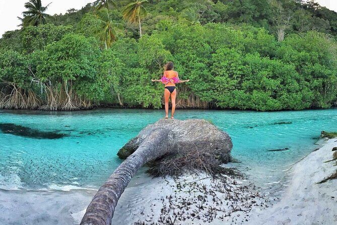 Full Day SAMANA ADVENTURE Tour - Punta Cana - Why This Tour Offers Great Value