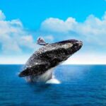 Full-Day Samana with Waterfall & Bacardi Island from Punta Cana - Who Will Love This Tour?