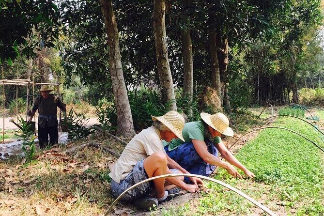 Full Day Siem Reap Farm Tour with Cooking Class and Monk Blessing - Practicalities & Tips