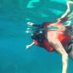 Full-Day Snorkeling Tour to Catalina Island - Practical Details That Matter