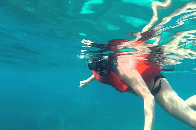 Full-Day Snorkeling Tour to Catalina Island - Practical Details That Matter