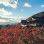 Full Day Tour of Kyoto with Private Transportation - Final Thoughts