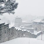 Full Day Tour of Suwon Hwaseong and Deogyusan - Why This Tour Offers Great Value