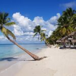 Full Day Tour to Saona Island from Samana - The Itinerary Breakdown