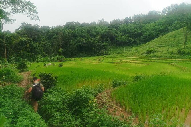 Full Day Trekking & bamboo cooking Tour in Chiang Rai - Frequently Asked Questions