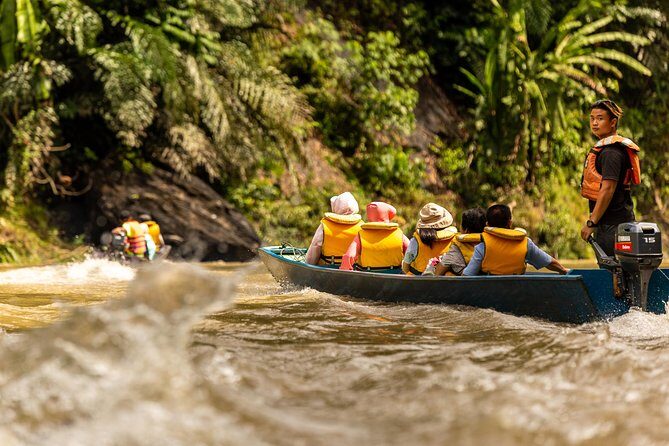 Full Day Trip of Brunei Ulu Temburong National Park including Canopy Walk - An In-Depth Look at the Ulu Temburong National Park Tour  