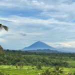 Full-day Ubud Private tour : Cultural Heritage - The Itinerary in Detail: What to Expect