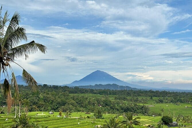 Full-day Ubud Private tour : Cultural Heritage - The Itinerary in Detail: What to Expect