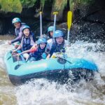 Full day Ubud Tour Bali Rafting, Monkey Forest and Rice Terrace - The Value of This Tour