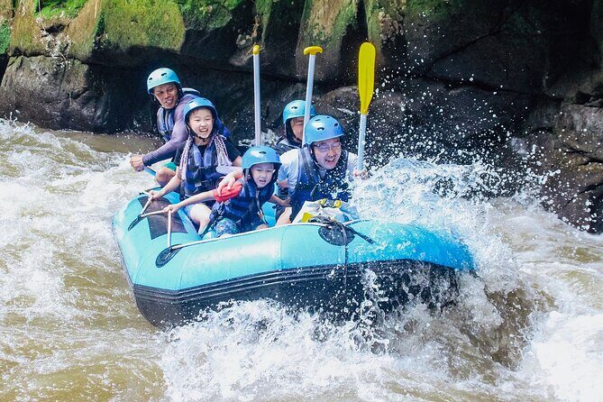 Full day Ubud Tour Bali Rafting, Monkey Forest and Rice Terrace - The Value of This Tour