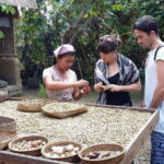 Full-Day Ubud Village including Mt Batur Tirta Empul and Sightseeing Tour - Why This Tour Works