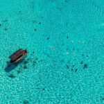 Full Day Water Experience Eco snorkeling and Jet ski with lunch - Practical Considerations and Tips