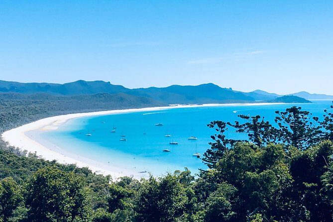 Full-Day Whitsunday Tour: Whitehaven Beach and Hill Inlet with BBQ - Who Would Love This Tour?