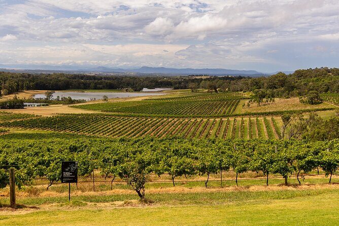 Fully Private and Customisable Hunter Valley Wine Tour - An In-Depth Look at the Hunter Valley Private Wine Tour