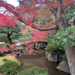 Fushimi Inari Deep Adventure: Hidden Trails & Shrine Ritual - An In-Depth Look at the Tour Experience