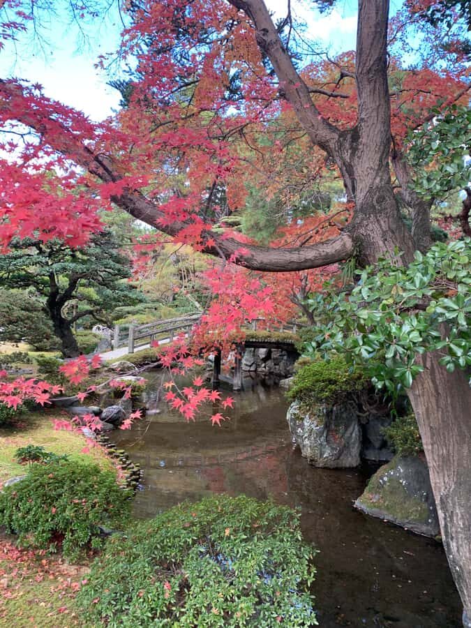 Fushimi Inari Deep Adventure: Hidden Trails & Shrine Ritual - An In-Depth Look at the Tour Experience