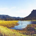 Gal Oya National Park Safari - Why This Safari Is Worth Your Time