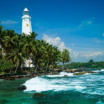 Galle Day Tour with Jungle Beach Experience from Colombo - Who Would Love This Tour?